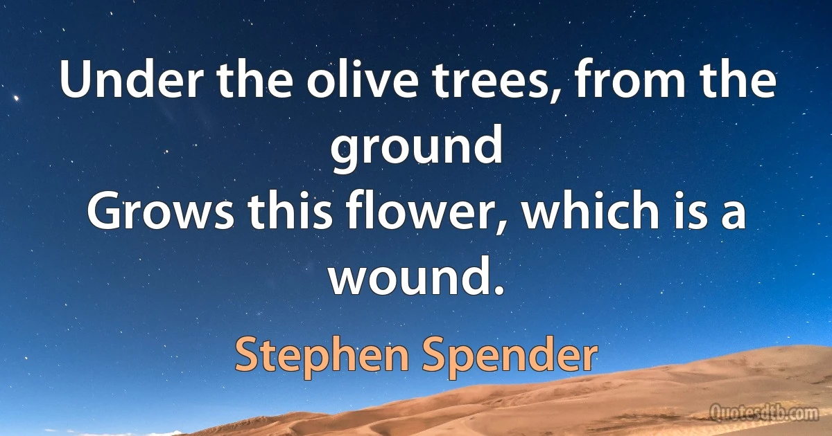 Under the olive trees, from the ground
Grows this flower, which is a wound. (Stephen Spender)