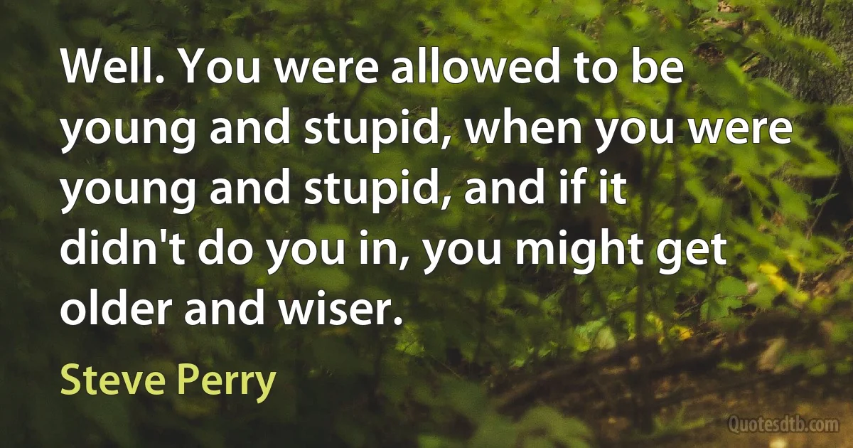 Well. You were allowed to be young and stupid, when you were young and stupid, and if it didn't do you in, you might get older and wiser. (Steve Perry)