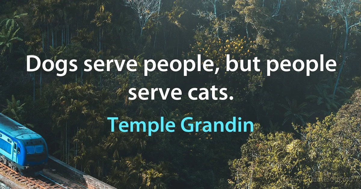 Dogs serve people, but people serve cats. (Temple Grandin)