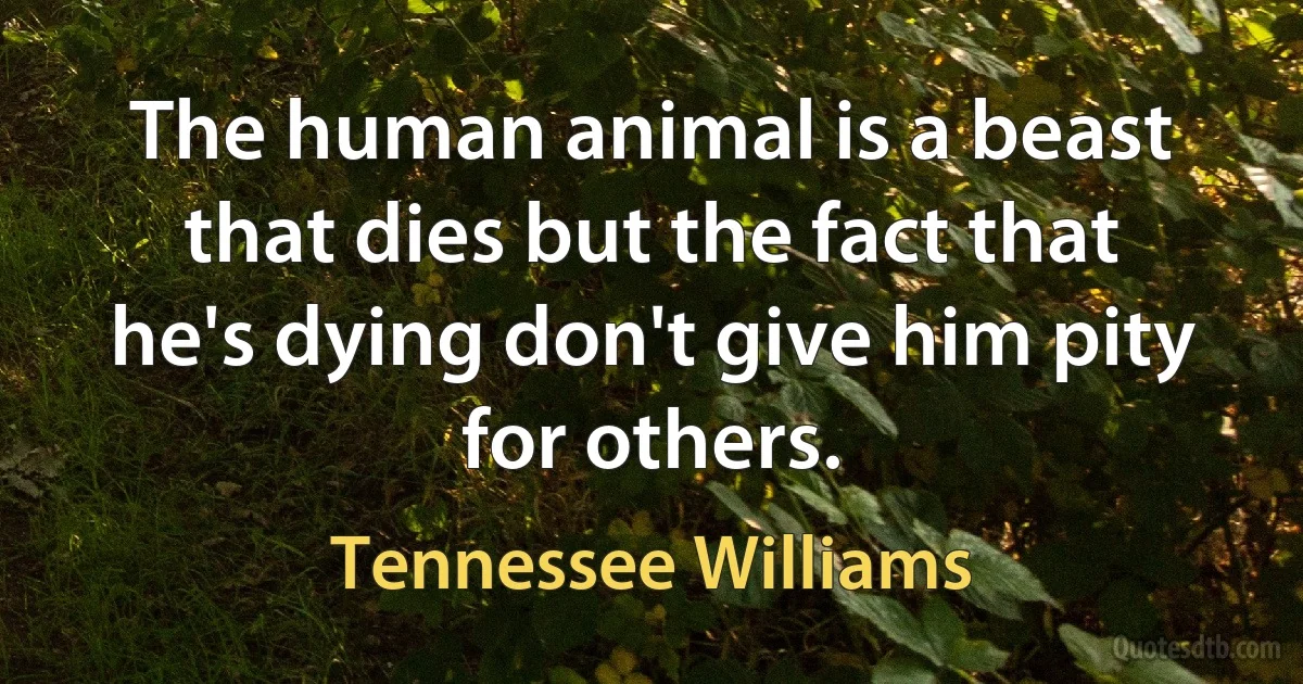 The human animal is a beast that dies but the fact that he's dying don't give him pity for others. (Tennessee Williams)