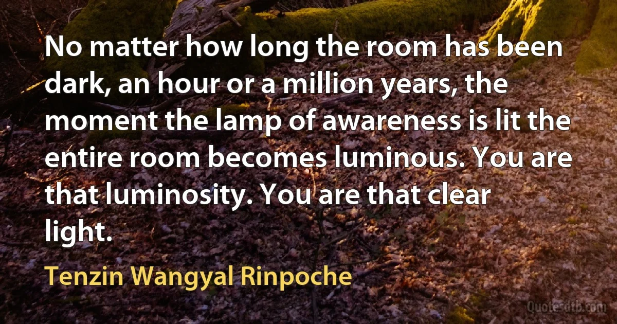 No matter how long the room has been dark, an hour or a million years, the moment the lamp of awareness is lit the entire room becomes luminous. You are that luminosity. You are that clear light. (Tenzin Wangyal Rinpoche)