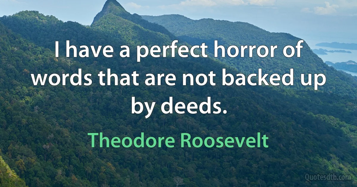 I have a perfect horror of words that are not backed up by deeds. (Theodore Roosevelt)