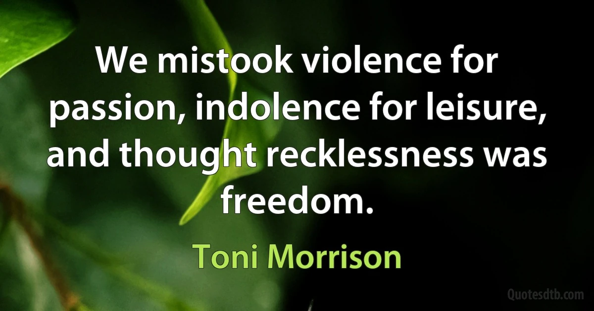 We mistook violence for passion, indolence for leisure, and thought recklessness was freedom. (Toni Morrison)