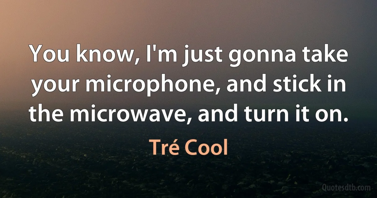 You know, I'm just gonna take your microphone, and stick in the microwave, and turn it on. (Tré Cool)