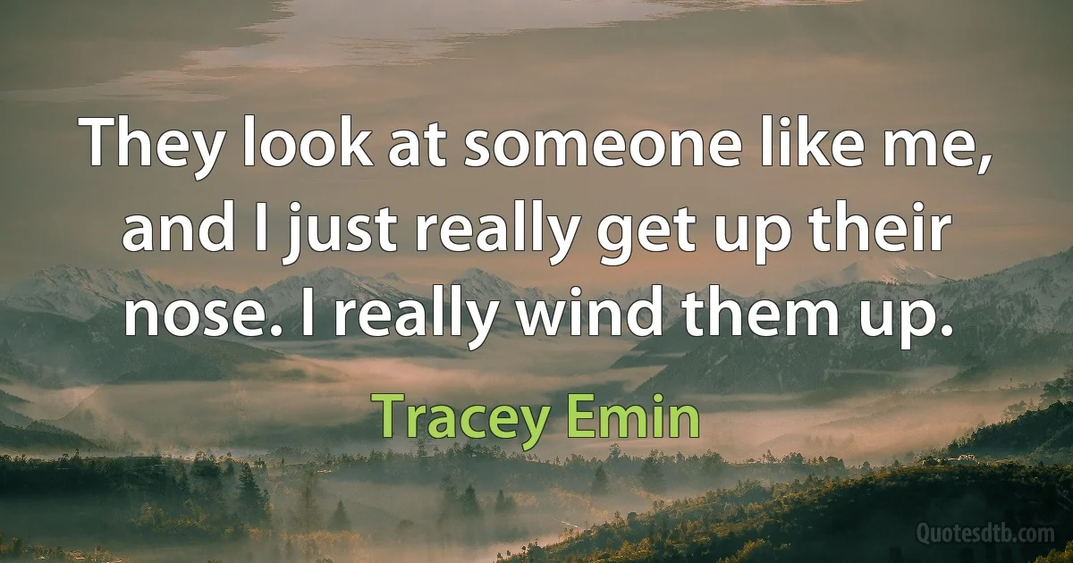 They look at someone like me, and I just really get up their nose. I really wind them up. (Tracey Emin)