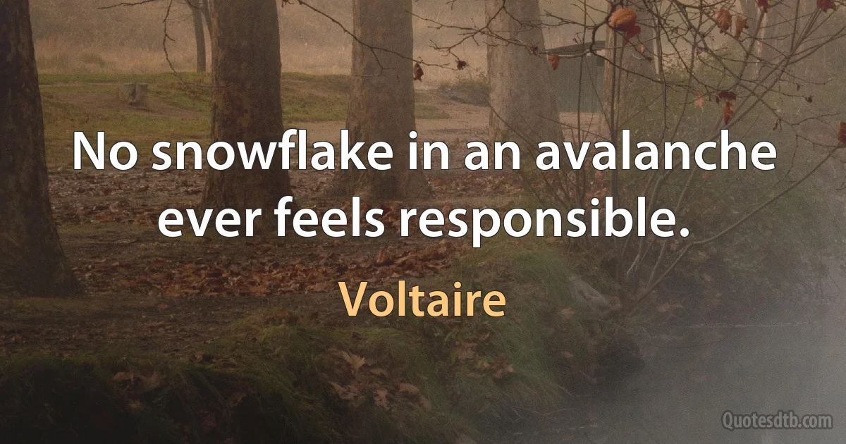 No snowflake in an avalanche ever feels responsible. (Voltaire)