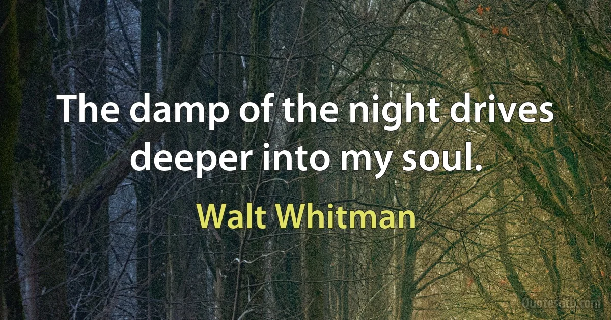 The damp of the night drives deeper into my soul. (Walt Whitman)