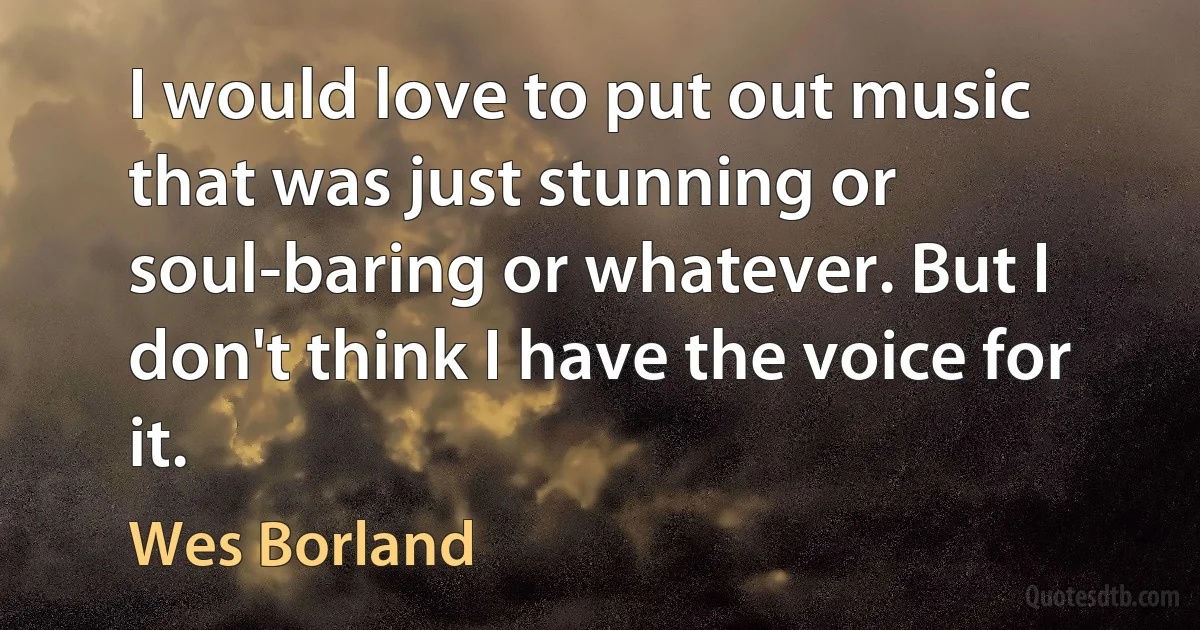 I would love to put out music that was just stunning or soul-baring or whatever. But I don't think I have the voice for it. (Wes Borland)