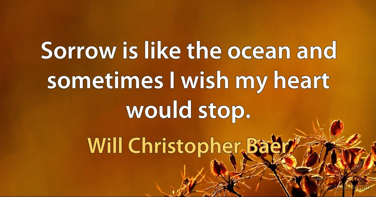 Sorrow is like the ocean and sometimes I wish my heart would stop. (Will Christopher Baer)