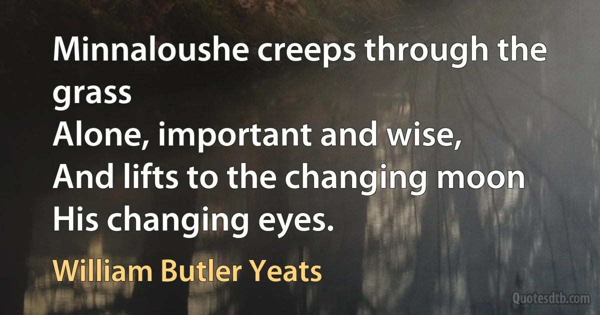 Minnaloushe creeps through the grass
Alone, important and wise,
And lifts to the changing moon
His changing eyes. (William Butler Yeats)