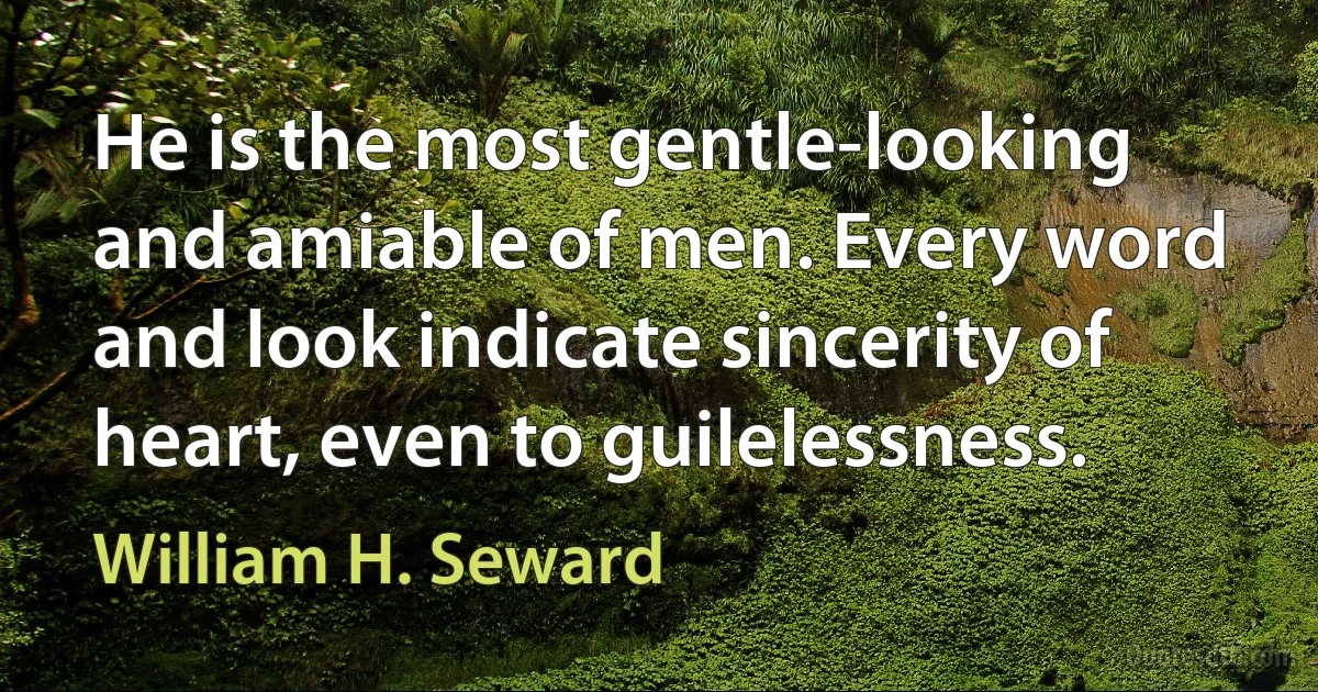 He is the most gentle-looking and amiable of men. Every word and look indicate sincerity of heart, even to guilelessness. (William H. Seward)