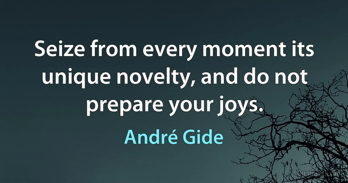 Seize from every moment its unique novelty, and do not prepare your joys. (André Gide)