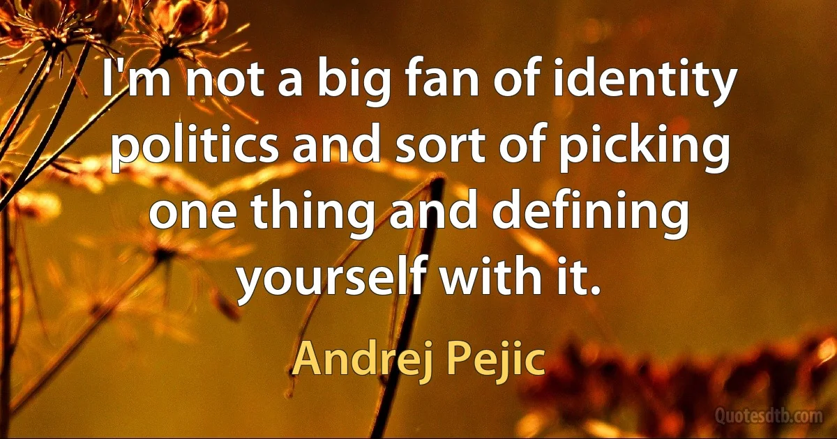 I'm not a big fan of identity politics and sort of picking one thing and defining yourself with it. (Andrej Pejic)