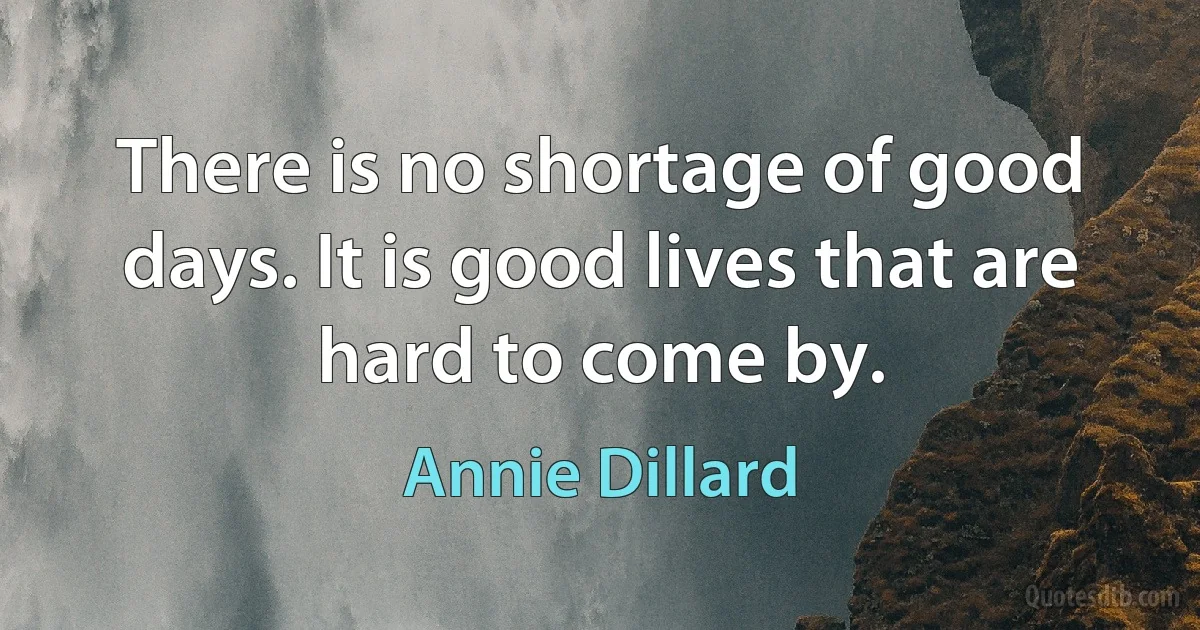 There is no shortage of good days. It is good lives that are hard to come by. (Annie Dillard)