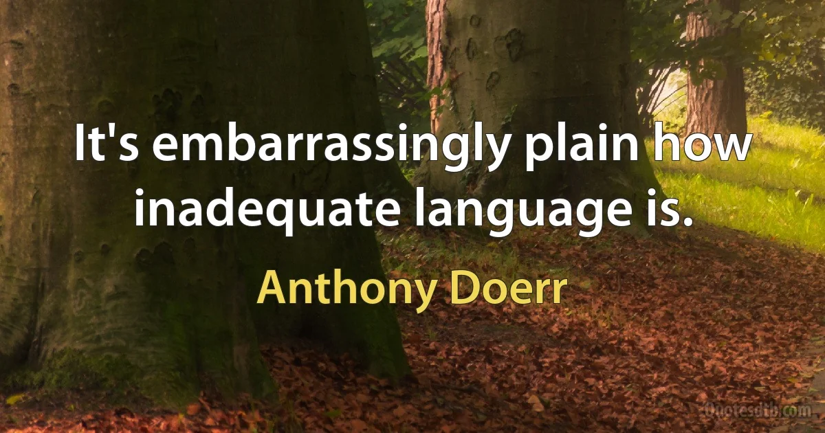 It's embarrassingly plain how inadequate language is. (Anthony Doerr)