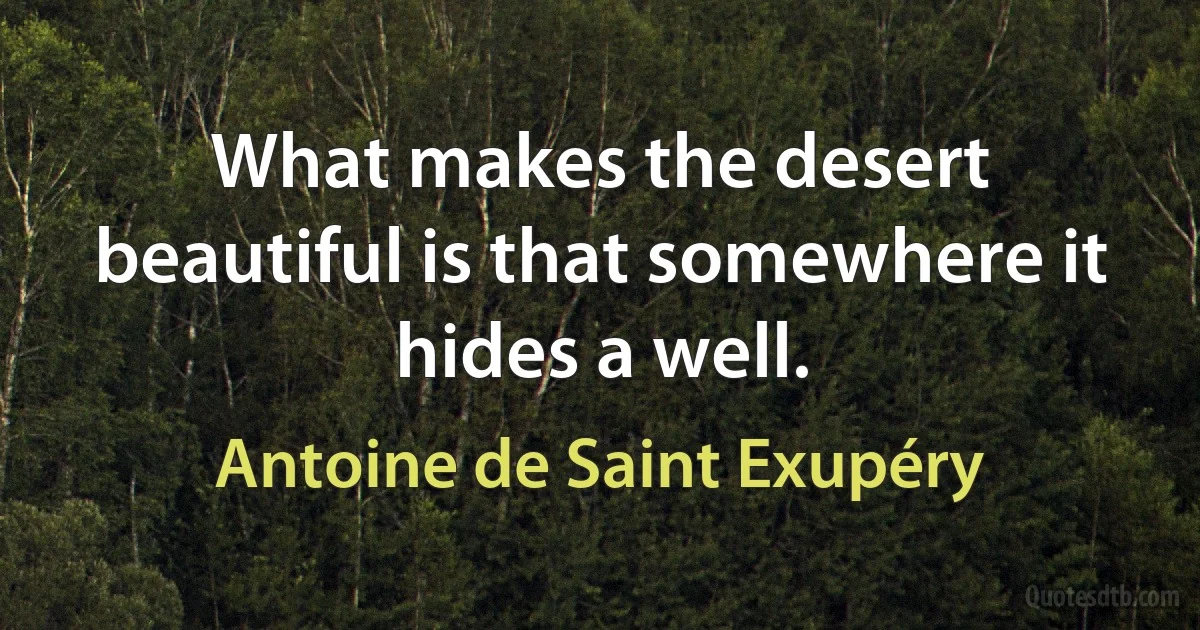 What makes the desert beautiful is that somewhere it hides a well. (Antoine de Saint Exupéry)