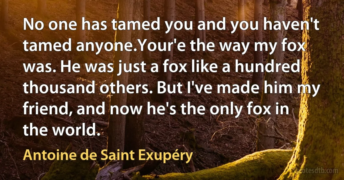 No one has tamed you and you haven't tamed anyone.Your'e the way my fox was. He was just a fox like a hundred thousand others. But I've made him my friend, and now he's the only fox in the world. (Antoine de Saint Exupéry)