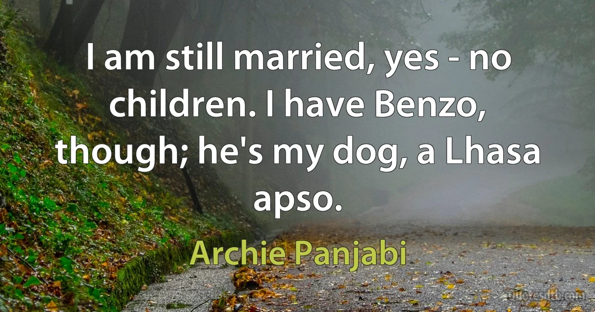 I am still married, yes - no children. I have Benzo, though; he's my dog, a Lhasa apso. (Archie Panjabi)