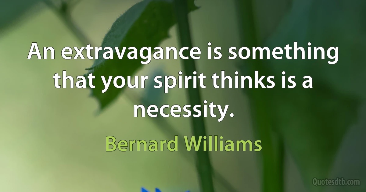 An extravagance is something that your spirit thinks is a necessity. (Bernard Williams)