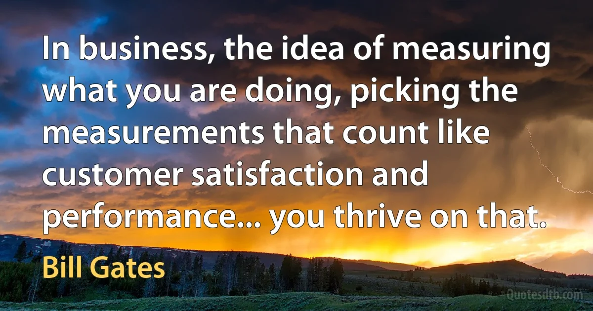 In business, the idea of measuring what you are doing, picking the measurements that count like customer satisfaction and performance... you thrive on that. (Bill Gates)