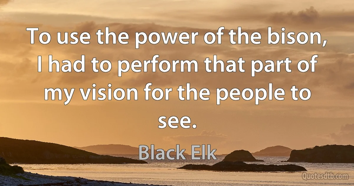 To use the power of the bison, I had to perform that part of my vision for the people to see. (Black Elk)