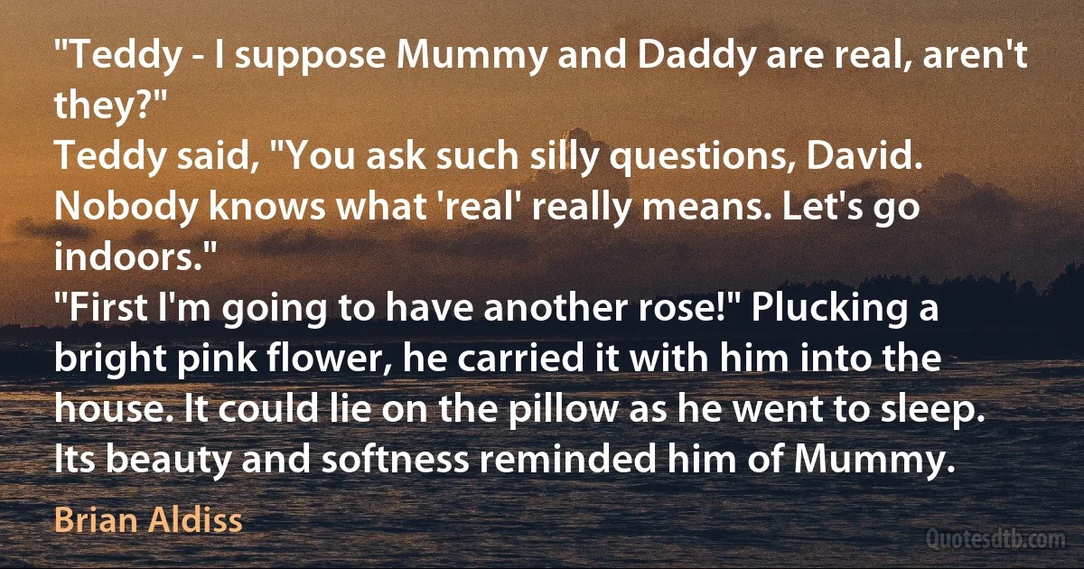 "Teddy - I suppose Mummy and Daddy are real, aren't they?"
Teddy said, "You ask such silly questions, David. Nobody knows what 'real' really means. Let's go indoors."
"First I'm going to have another rose!" Plucking a bright pink flower, he carried it with him into the house. It could lie on the pillow as he went to sleep. Its beauty and softness reminded him of Mummy. (Brian Aldiss)