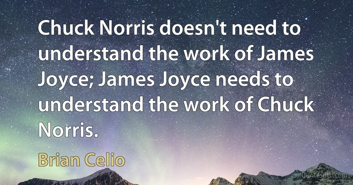 Chuck Norris doesn't need to understand the work of James Joyce; James Joyce needs to understand the work of Chuck Norris. (Brian Celio)