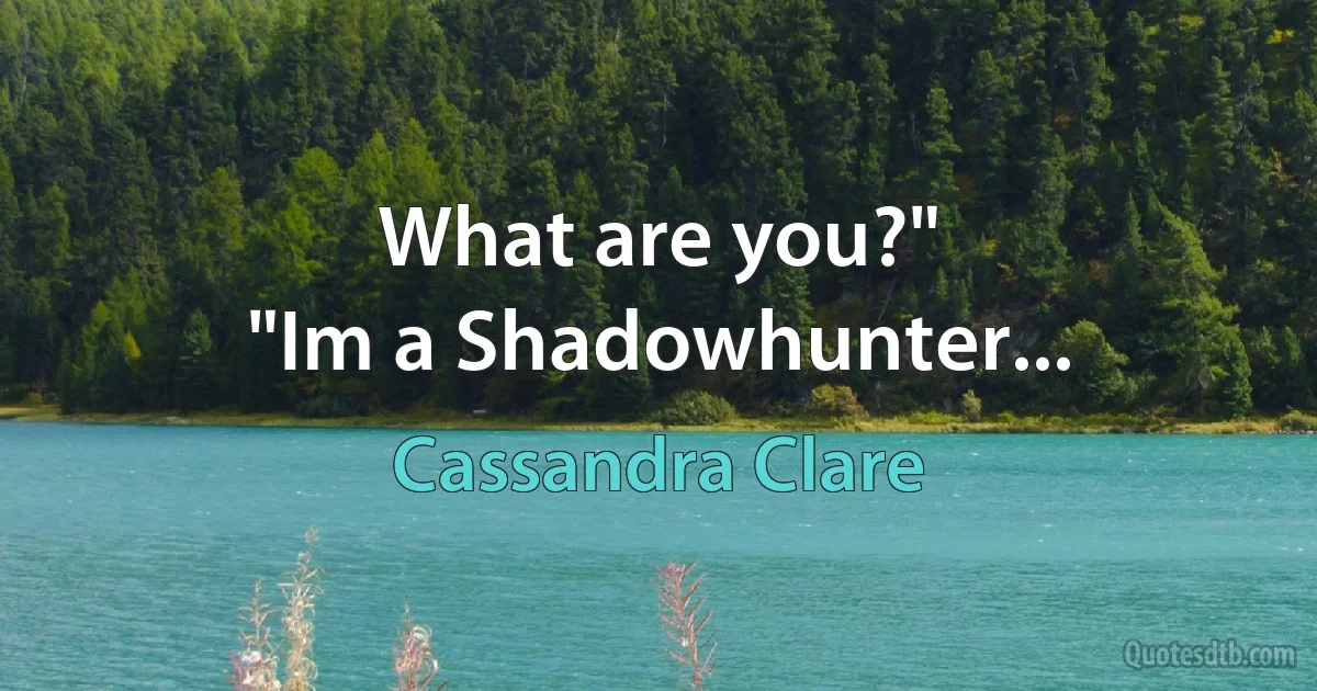 What are you?"
"Im a Shadowhunter... (Cassandra Clare)