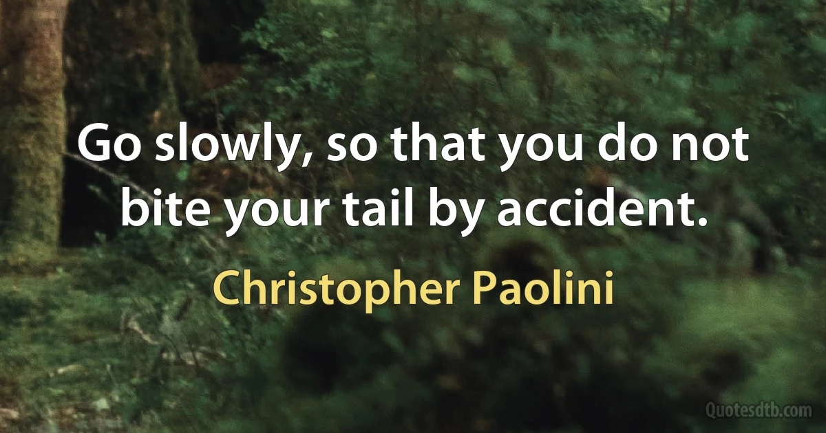 Go slowly, so that you do not bite your tail by accident. (Christopher Paolini)