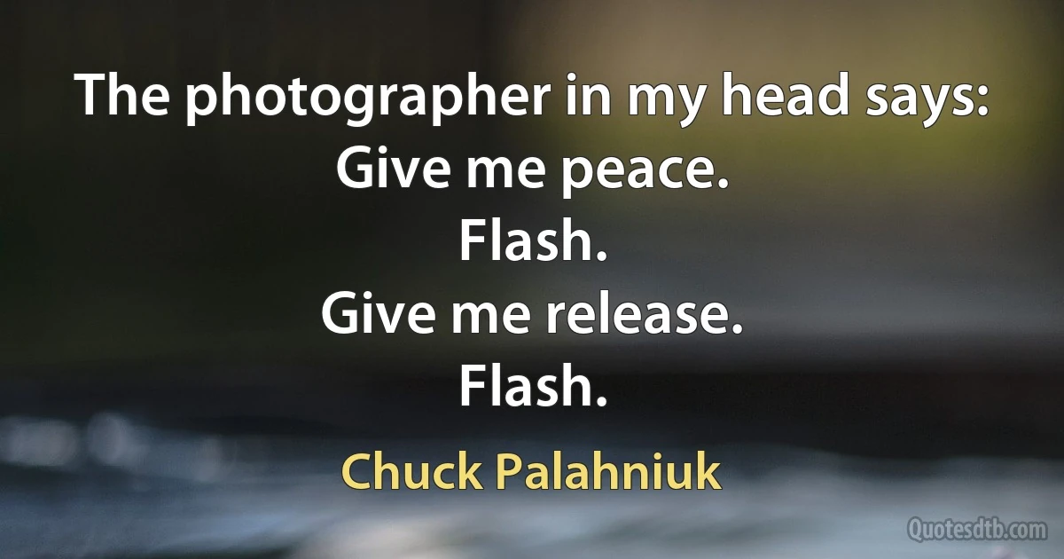 The photographer in my head says:
Give me peace.
Flash.
Give me release.
Flash. (Chuck Palahniuk)