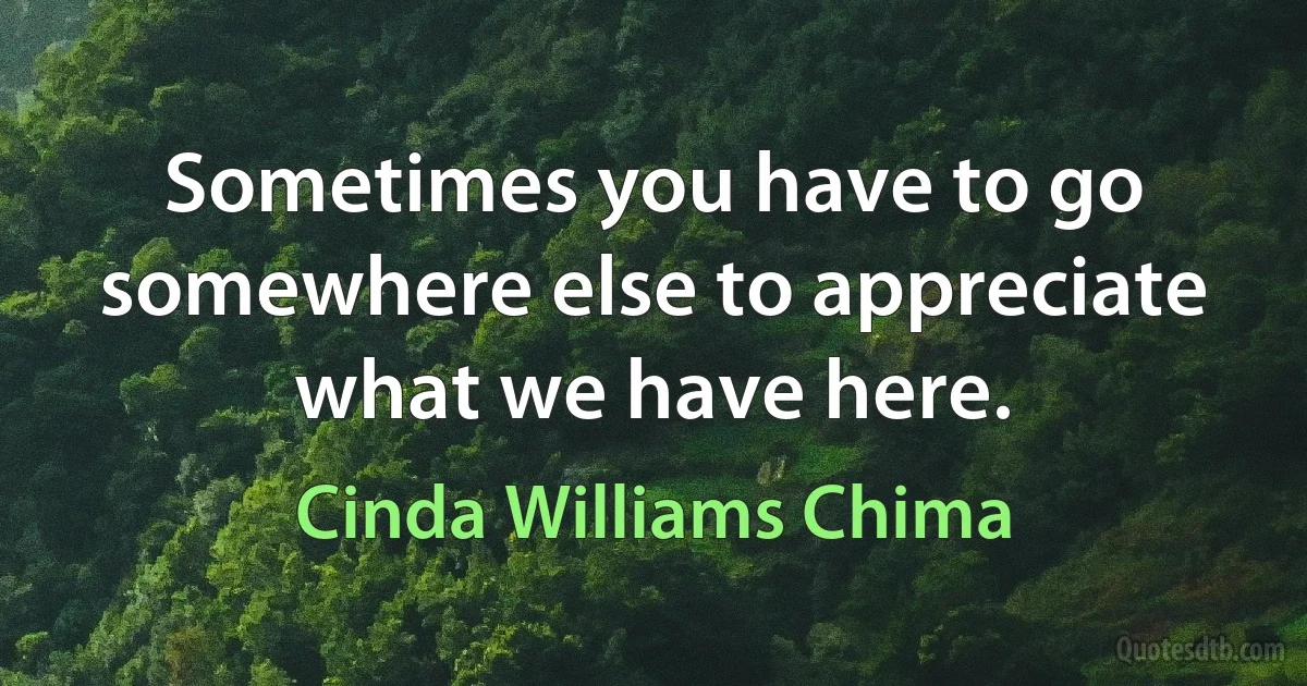 Sometimes you have to go somewhere else to appreciate what we have here. (Cinda Williams Chima)