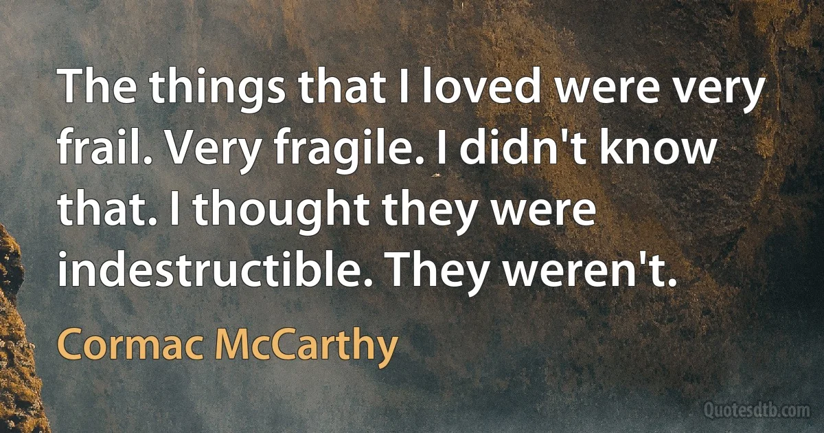 The things that I loved were very frail. Very fragile. I didn't know that. I thought they were indestructible. They weren't. (Cormac McCarthy)