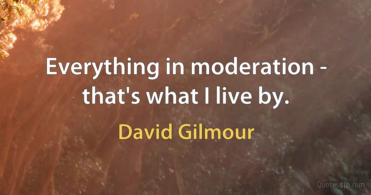 Everything in moderation - that's what I live by. (David Gilmour)