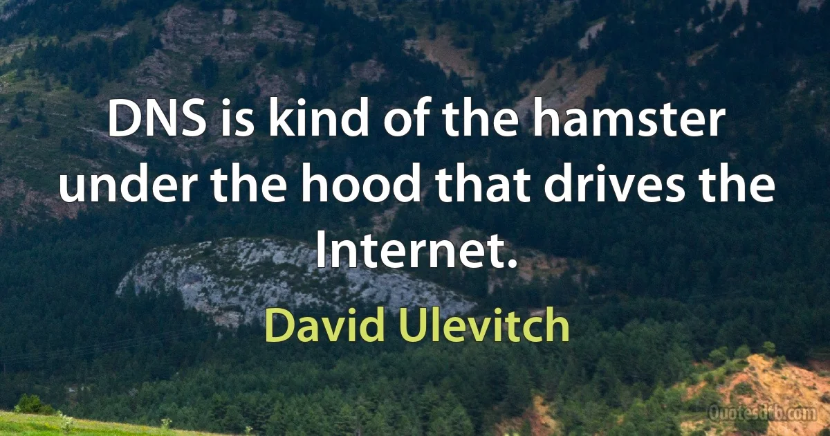 DNS is kind of the hamster under the hood that drives the Internet. (David Ulevitch)