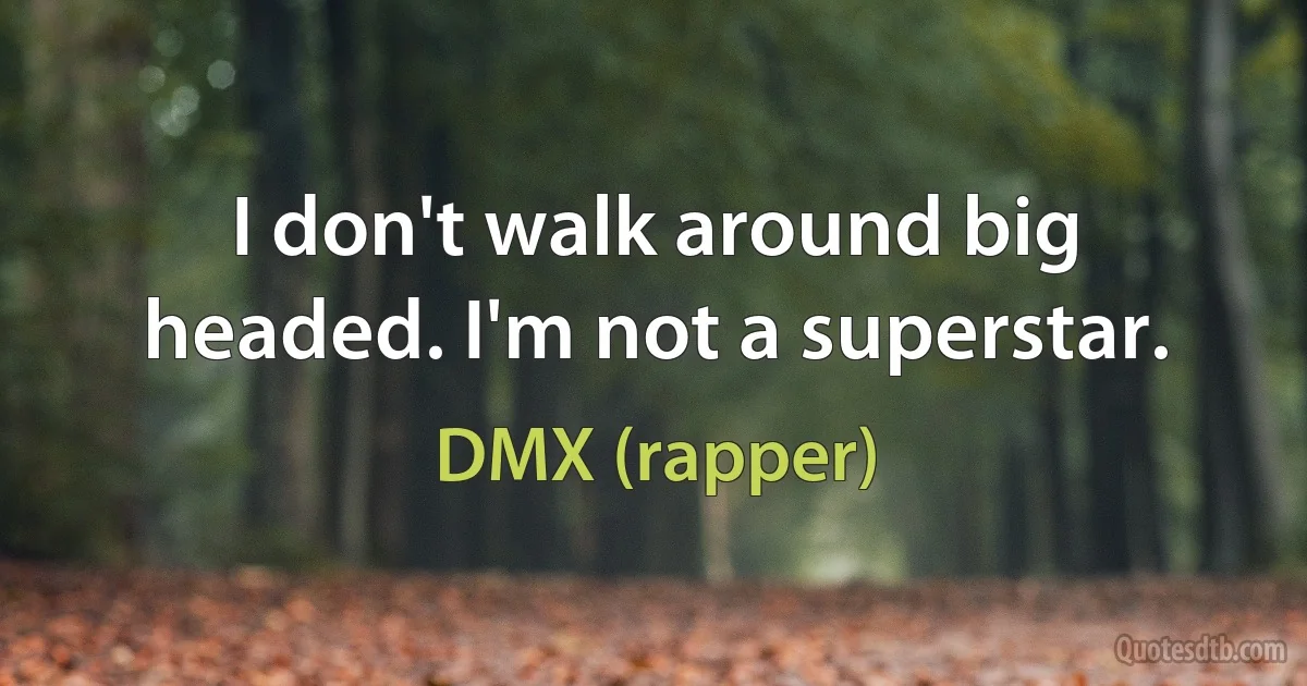 I don't walk around big headed. I'm not a superstar. (DMX (rapper))