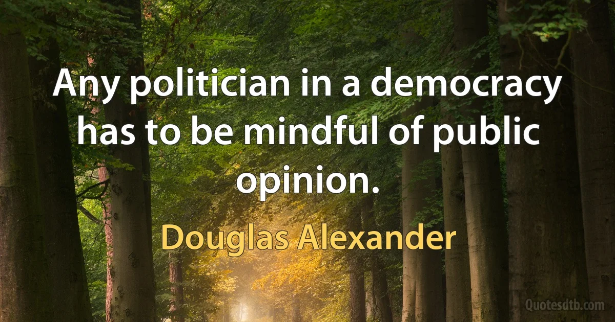 Any politician in a democracy has to be mindful of public opinion. (Douglas Alexander)