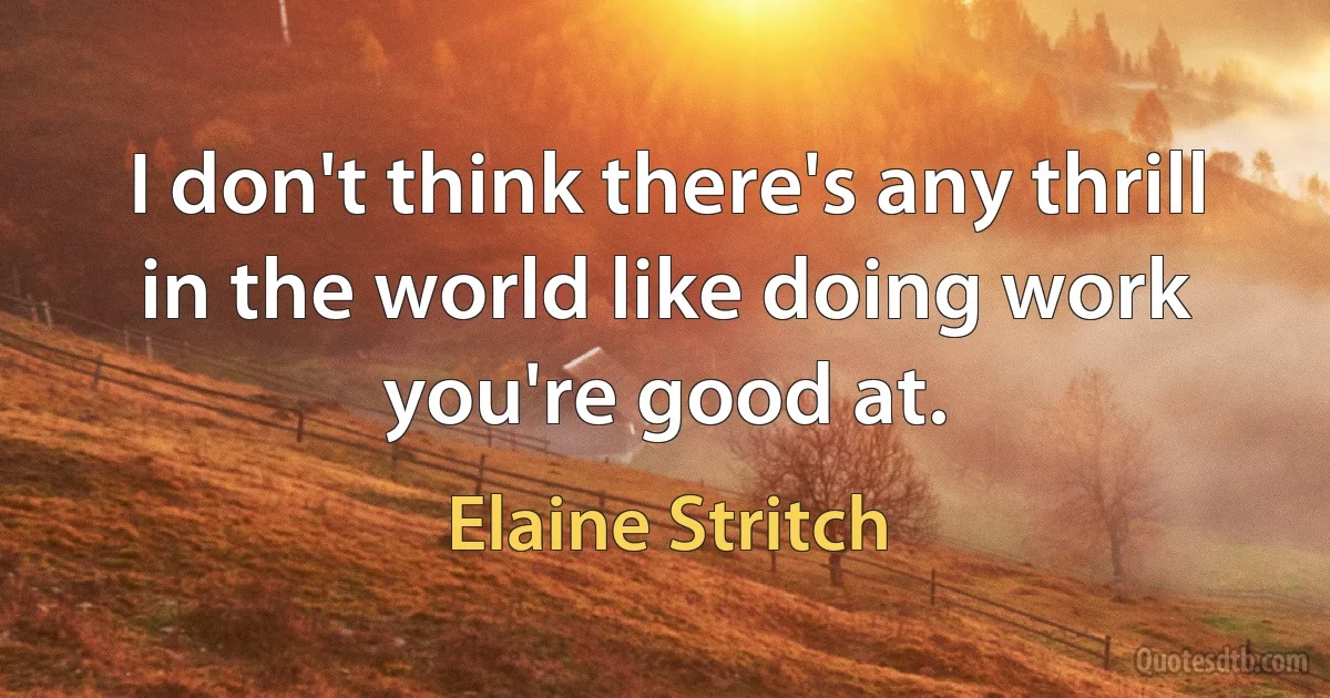 I don't think there's any thrill in the world like doing work you're good at. (Elaine Stritch)