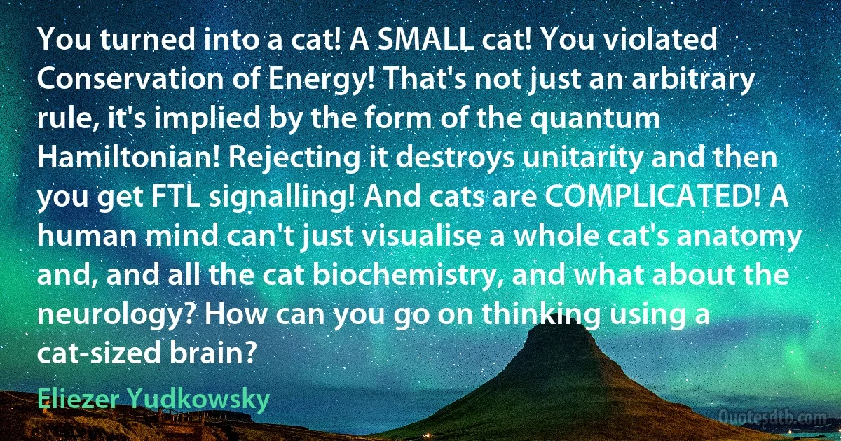 You turned into a cat! A SMALL cat! You violated Conservation of Energy! That's not just an arbitrary rule, it's implied by the form of the quantum Hamiltonian! Rejecting it destroys unitarity and then you get FTL signalling! And cats are COMPLICATED! A human mind can't just visualise a whole cat's anatomy and, and all the cat biochemistry, and what about the neurology? How can you go on thinking using a cat-sized brain? (Eliezer Yudkowsky)