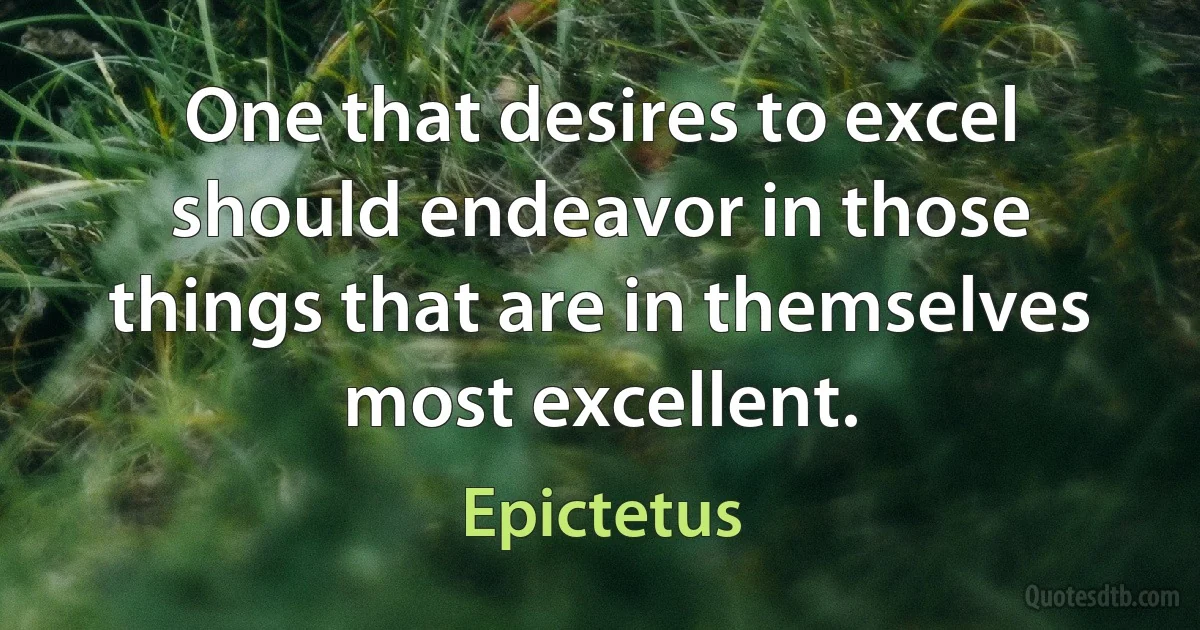 One that desires to excel should endeavor in those things that are in themselves most excellent. (Epictetus)