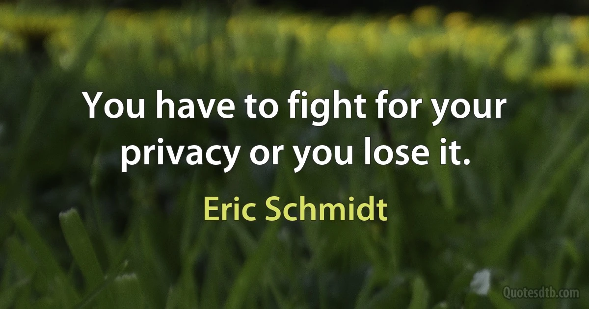 You have to fight for your privacy or you lose it. (Eric Schmidt)