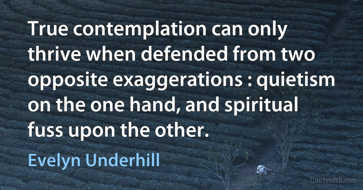 True contemplation can only thrive when defended from two opposite exaggerations : quietism on the one hand, and spiritual fuss upon the other. (Evelyn Underhill)