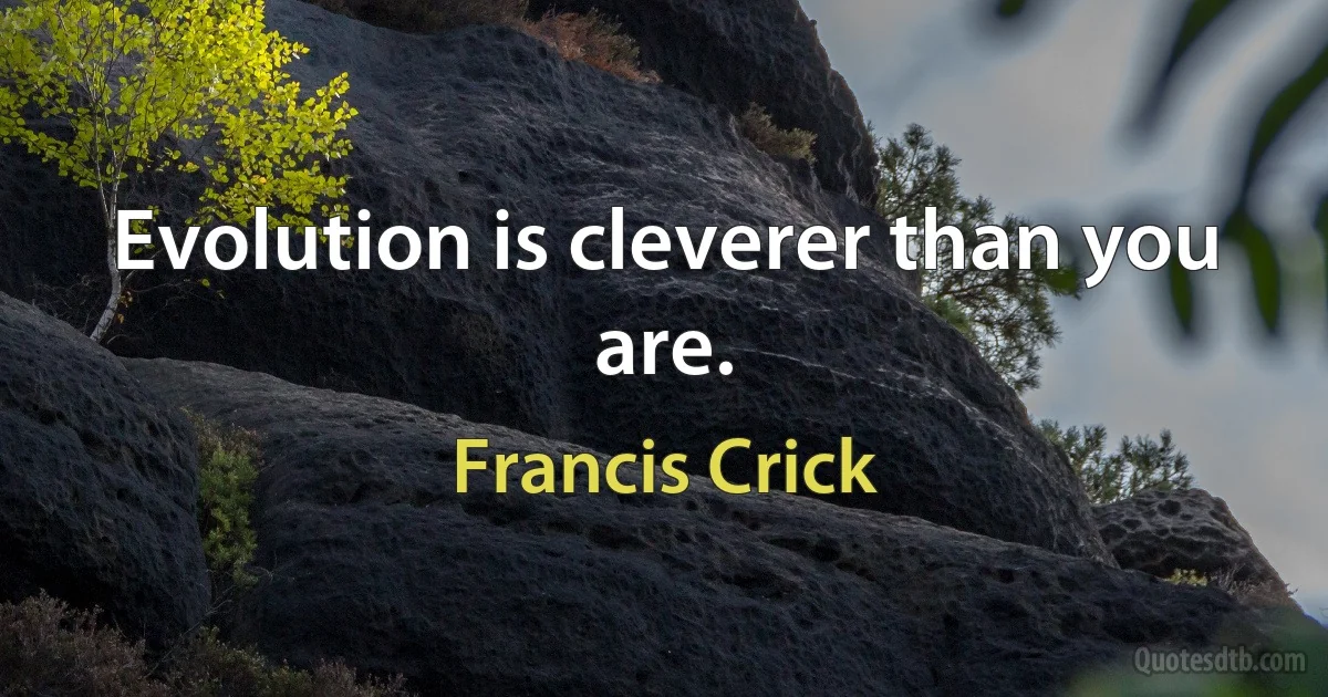 Evolution is cleverer than you are. (Francis Crick)