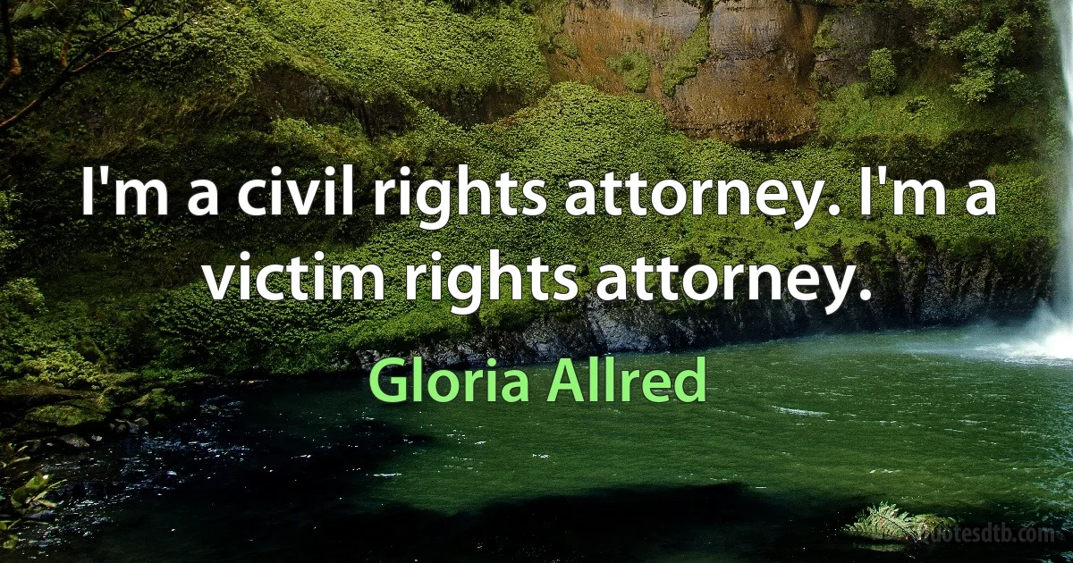 I'm a civil rights attorney. I'm a victim rights attorney. (Gloria Allred)