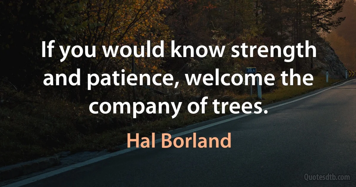 If you would know strength and patience, welcome the company of trees. (Hal Borland)