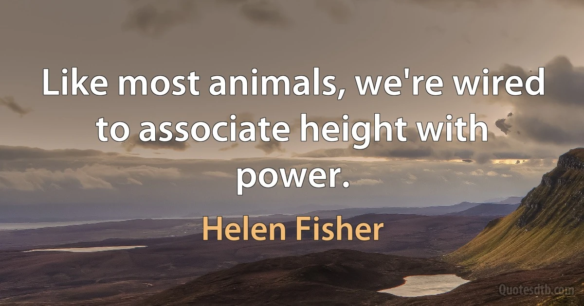 Like most animals, we're wired to associate height with power. (Helen Fisher)