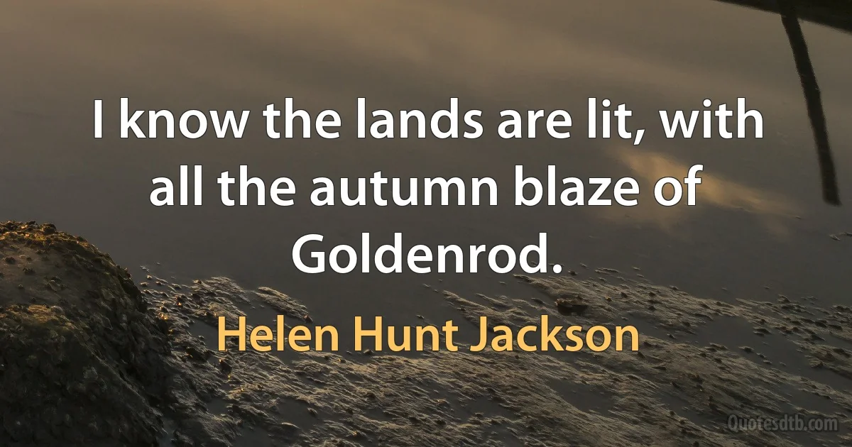 I know the lands are lit, with all the autumn blaze of Goldenrod. (Helen Hunt Jackson)