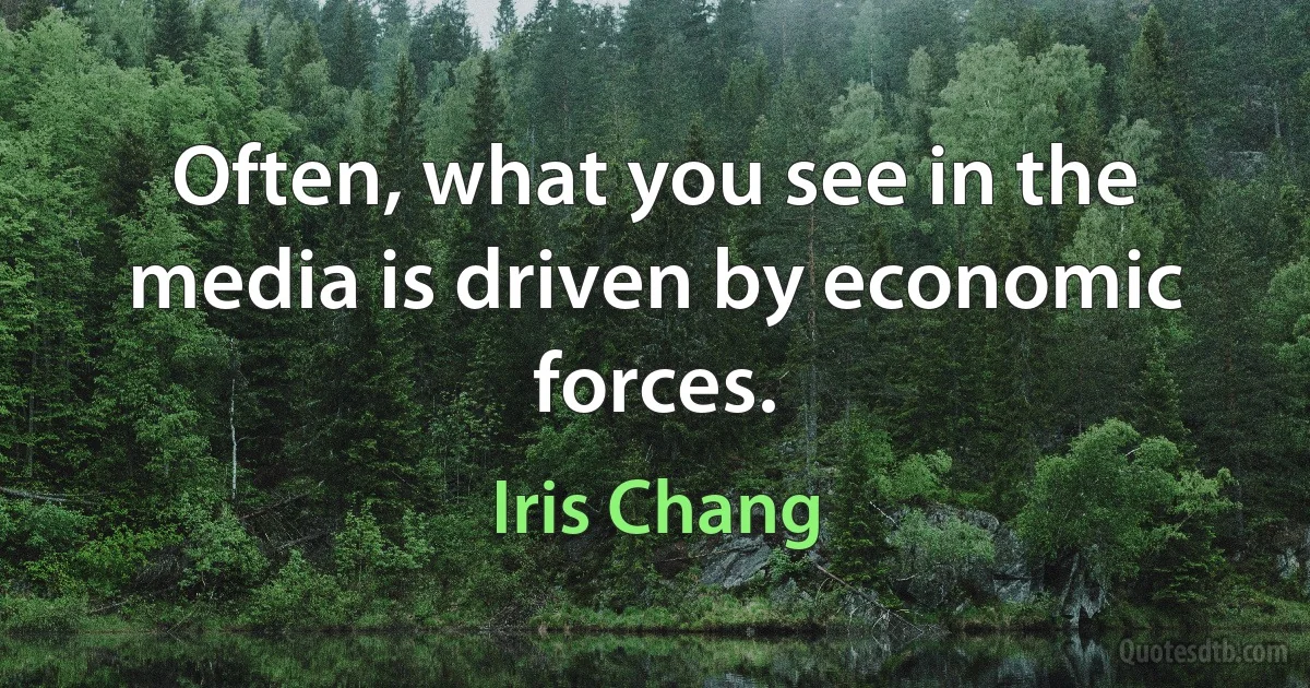 Often, what you see in the media is driven by economic forces. (Iris Chang)