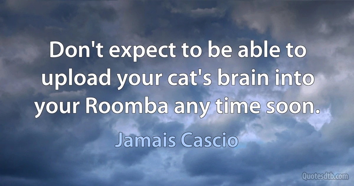 Don't expect to be able to upload your cat's brain into your Roomba any time soon. (Jamais Cascio)