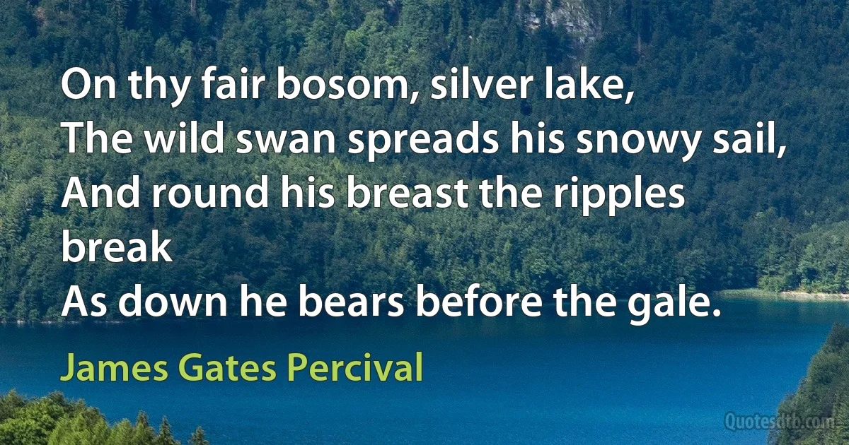 On thy fair bosom, silver lake,
The wild swan spreads his snowy sail,
And round his breast the ripples break
As down he bears before the gale. (James Gates Percival)