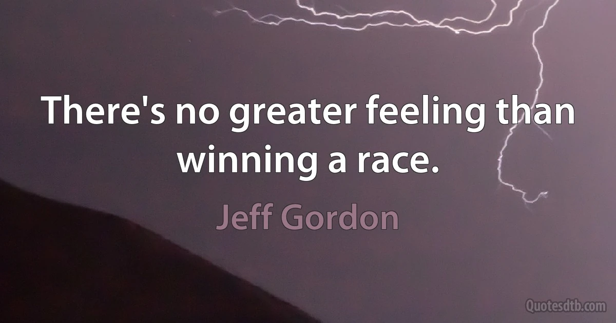 There's no greater feeling than winning a race. (Jeff Gordon)